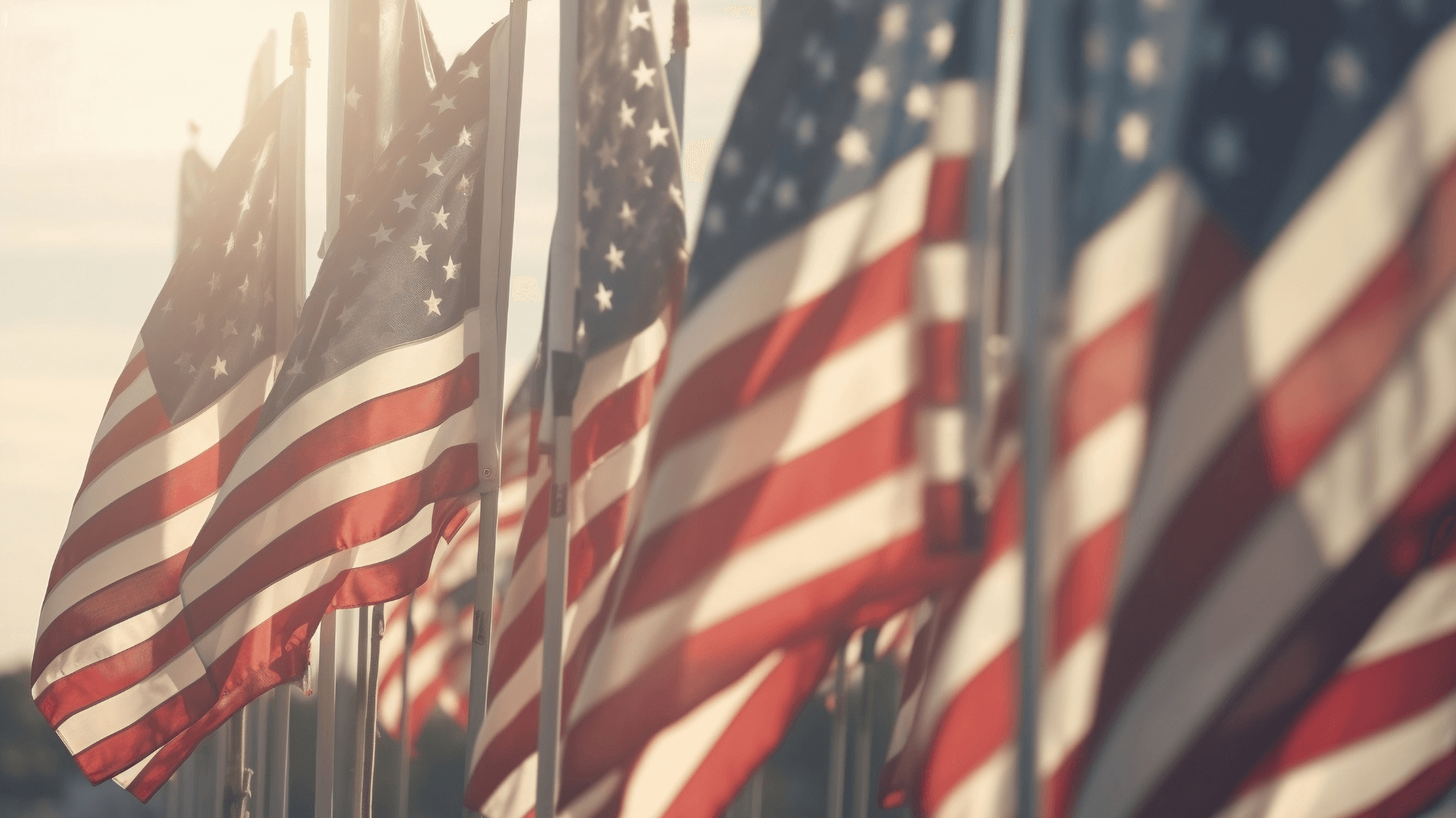 USA Flags